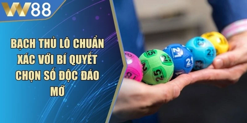 Bạch Thủ Lô